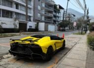 Lamborghini Aventador 50th Anniversary Roadster