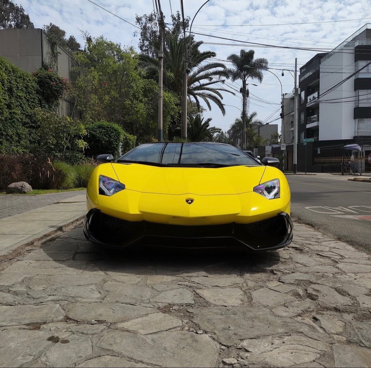 Lamborghini Aventador 50th Anniversary Roadster