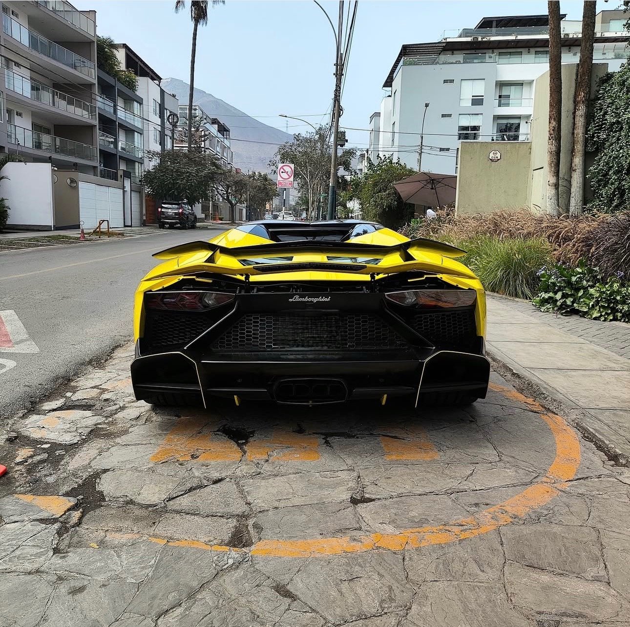 Lamborghini Aventador 50th Anniversary Roadster