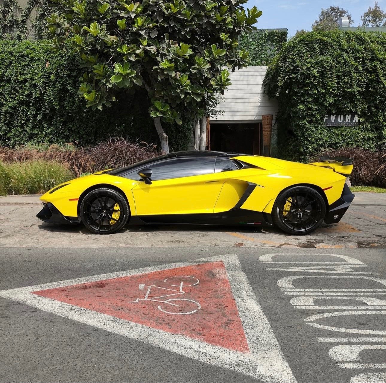 Lamborghini Aventador 50th Anniversary Roadster