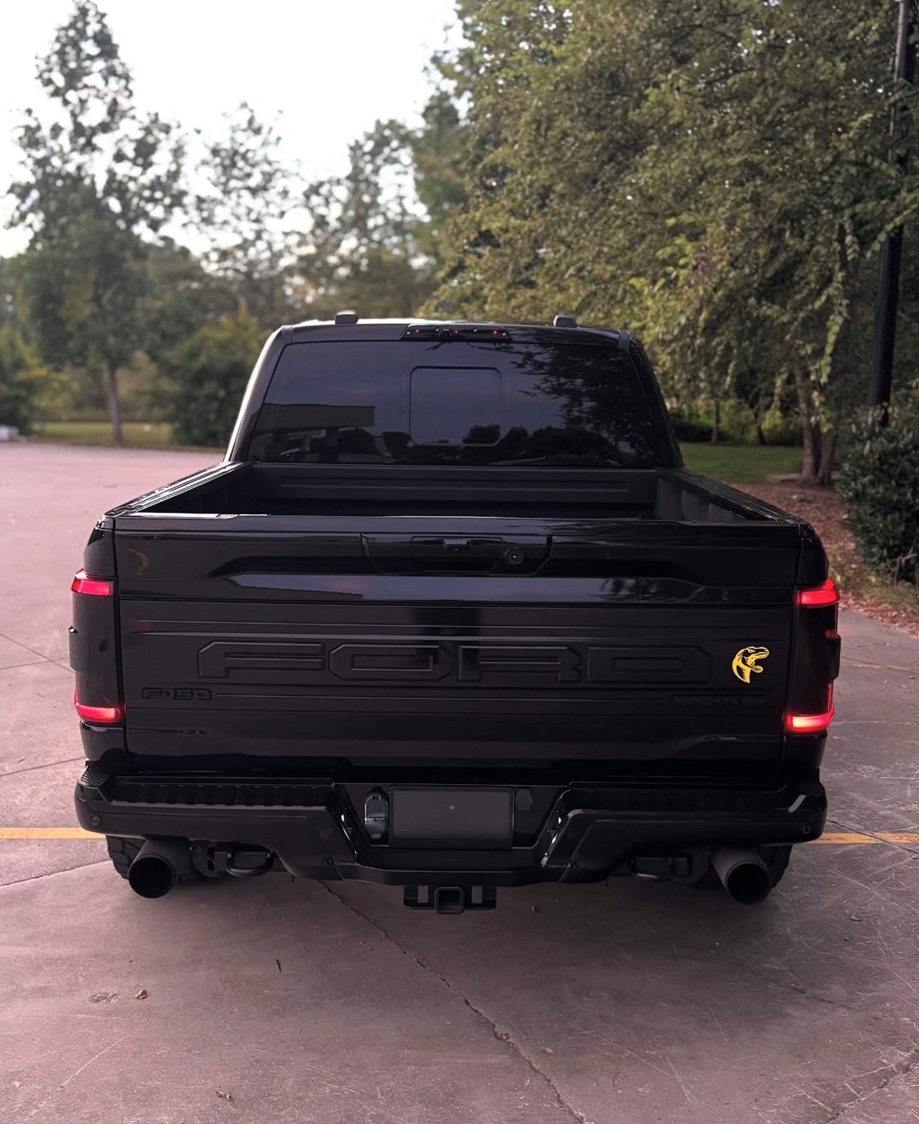 Ford F-150 Raptor