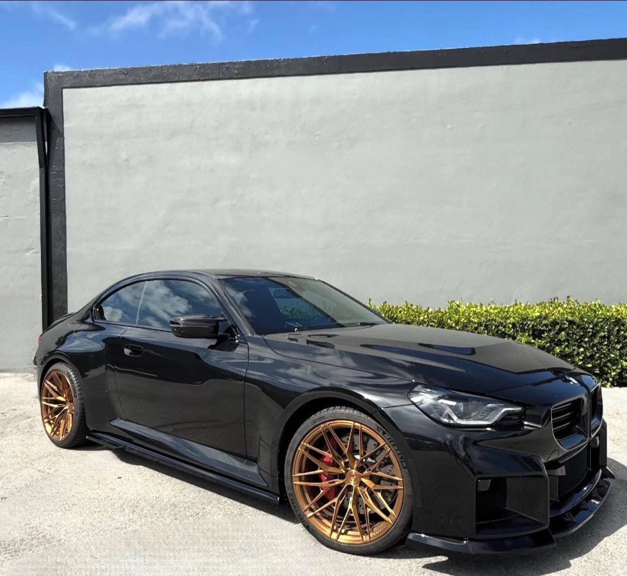 BMW M2 (G87)